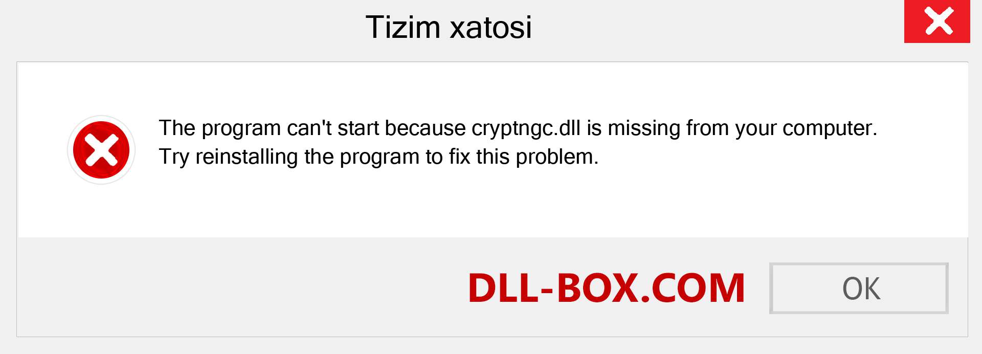 cryptngc.dll fayli yo'qolganmi?. Windows 7, 8, 10 uchun yuklab olish - Windowsda cryptngc dll etishmayotgan xatoni tuzating, rasmlar, rasmlar